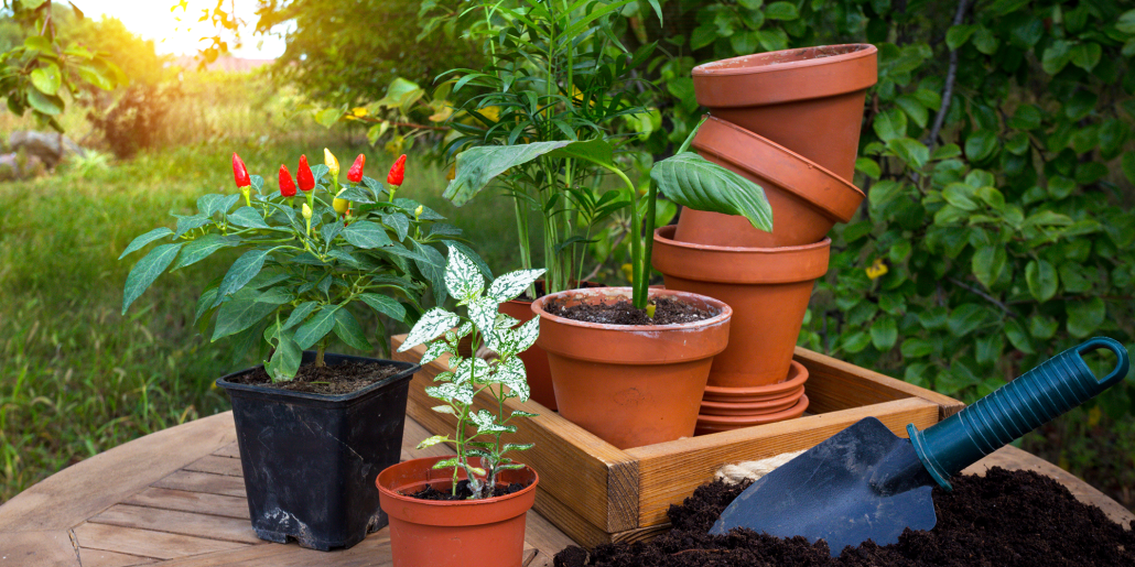 Bokashi-Bran-composting-3