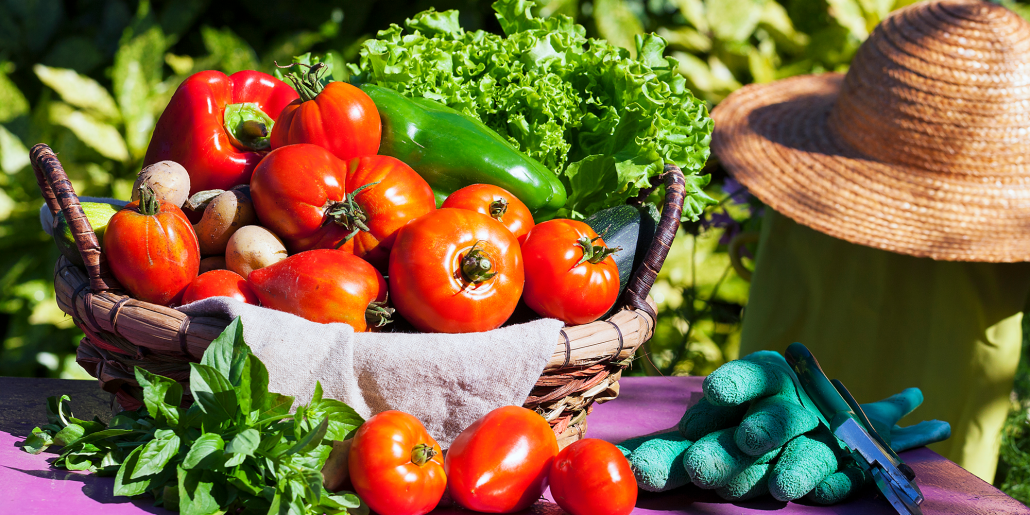 The-Right-Compost-for-Vegetable-Gardens-2