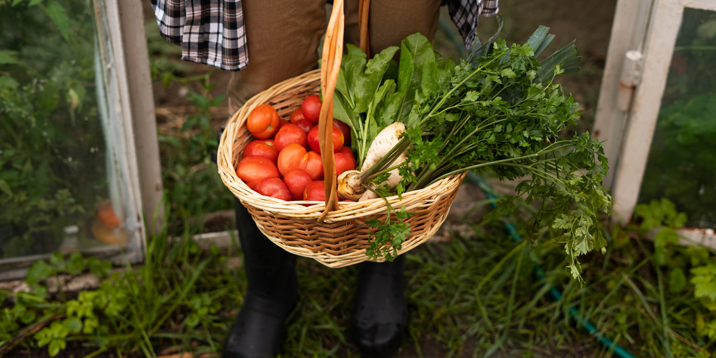 The-Right-Compost-for-Vegetable-Gardens-4