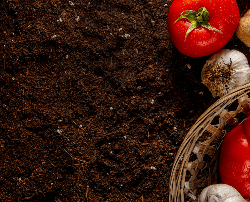 quality-compost