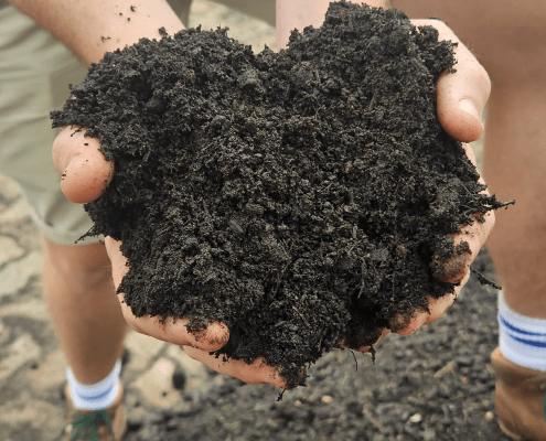 Turning Waste into Worth
