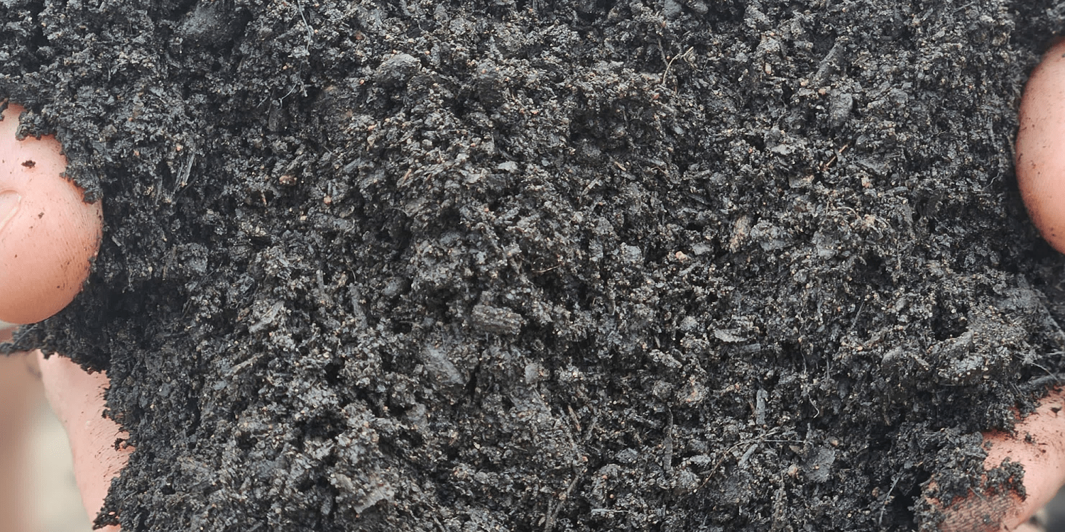 How to Identify Good Quality Compost